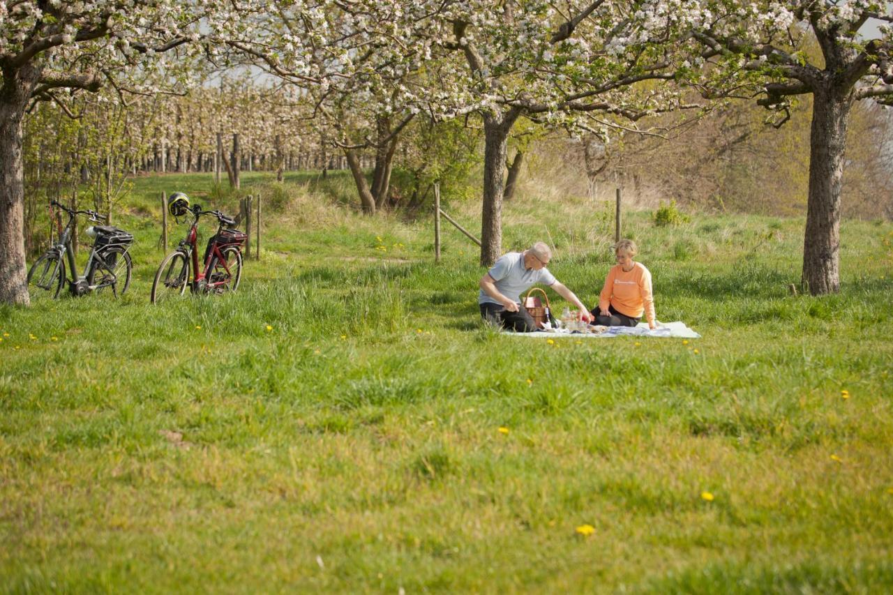 B&B De Kersentuin Borgloon Exterior foto